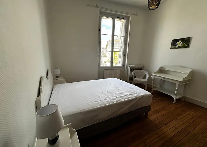 T2 En Centre-ville, 1er étage, La Roche-posay, Pour 4 Pers, Animaux Bienvenus - Fr-1-541-107 Apartamento *